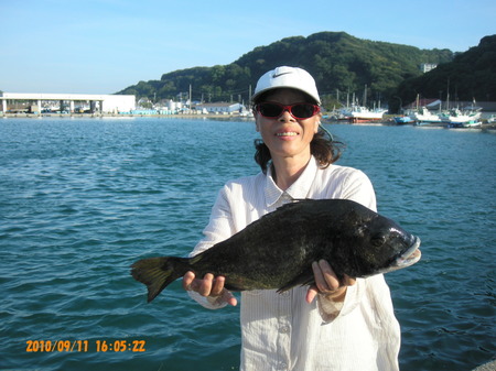 10年ぶりの大物ｹﾞｯﾄ　黒鯛52㎝
