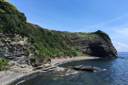 大房岬の海蝕崖